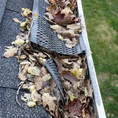 clogged gutters