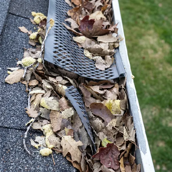 clogged gutters
