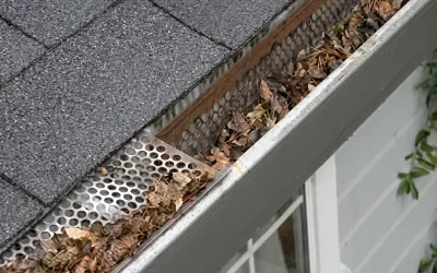 clogged gutters